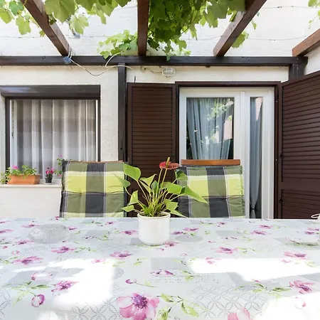 Apartment Im Erdgeschoss Mit Ueberdachter Terrasse